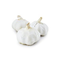 Cheap price white Fresh Garlic with uniform size and premium quality