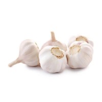 Fresh Garlic offered at discount price for culinary and food processing industries