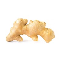 Natural fresh ginger available in bulk for tea blenders and herbal product makers