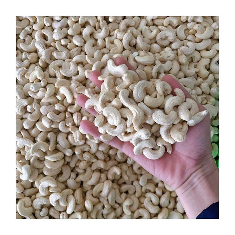 Premium quality cashew nuts kernel bulk supply export grade whole kernels wholesale