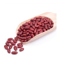Wholesale Red Kidney Bean low price bulk supply export quality