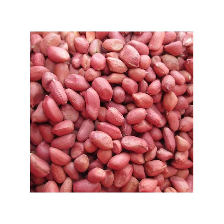 Bulk supply Peanuts wholesale top grade premium export quality