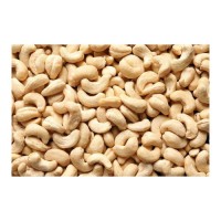 Grade W240 cashew nuts kernel bulk sale high quality nuts export ready