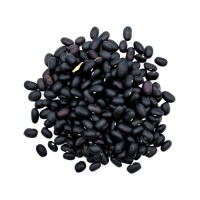 Premium quality black kidney beans supplied at factory price for wholesale buyers