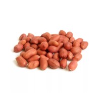 Wholesale Peanuts bulk supply premium quality cheap price bulk