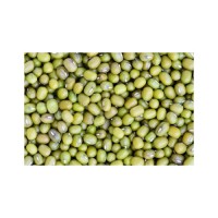 Vigna Mung Beans discount price bulk supply fast shipment fresh stock