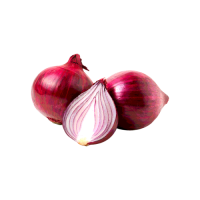Factory price red onions wholesale large size fresh onions bulk shipment ready