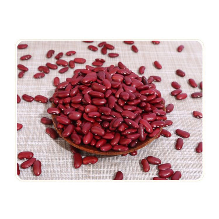 Red Kidney Bean discount price bulk supply fast shipment fresh stock