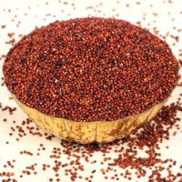 Affordable finger millet bulk sale high grade millet factory direct supply