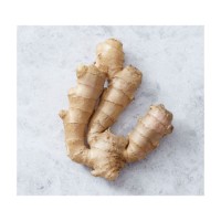 Fresh ginger in bulk for sale ideal for medicinal and wellness industries