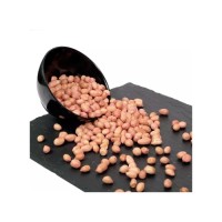 Wholesale Peanuts bulk supply cheap price top quality stock