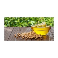 Premium Refined Soybean Oil available in bulk wholesale purchase