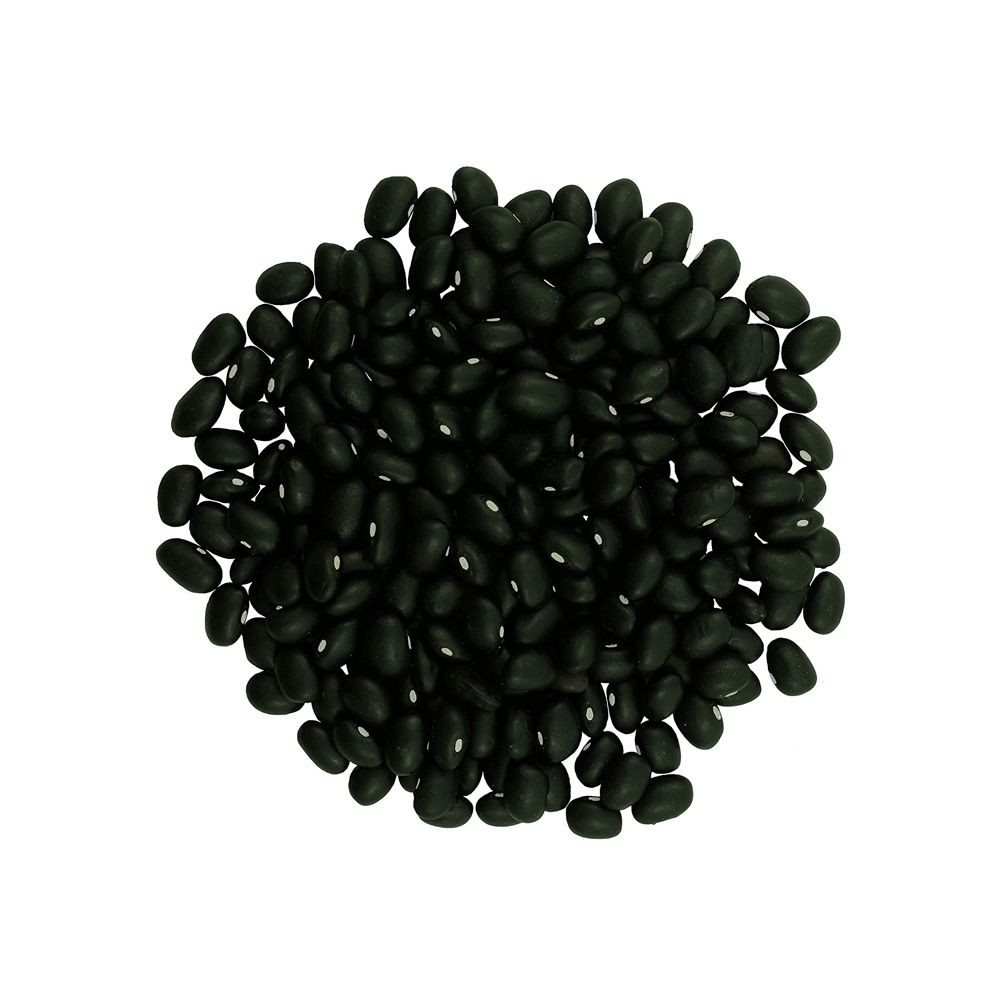Natural black kidney beans wholesale bulk order clean pulses reliable shipment