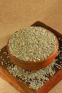 Top grade pearl millet bulk supply premium bajra export quality