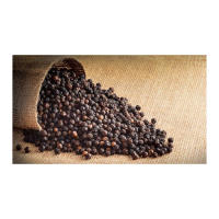 Bulk Wholesale Cheap Price 100% High Quality Black Pepper For Cooking
