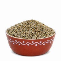 Fine quality pearl millet bulk supply natural bajra wholesale trade