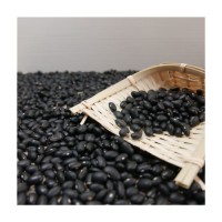 High demand black kidney beans bulk order natural rajma fast shipment