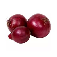 High quality Best Price Fresh Red Onion