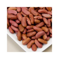 Red Kidney Bean discount price bulk supply fast shipment fresh stock