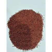 Top export finger millet wholesale bulk order premium grains delivery