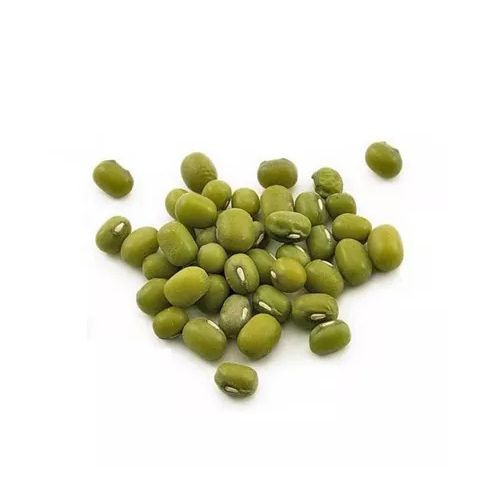 Vigna Mung Beans discount price bulk supply fresh stock wholesale