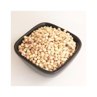 Sorghum grains wholesale bulk available for international buyers