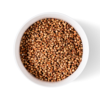 Wholesale sorghum grains bulk stock available with quality certification