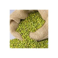 Vigna Mung Beans wholesale cheap price bulk supply export grade