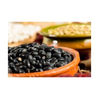 Black Kidney Beans available for sale at wholesale price for bulk buyers