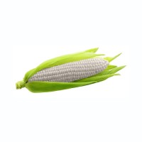 Low price white corn bulk order high demand maize grains reliable shipment