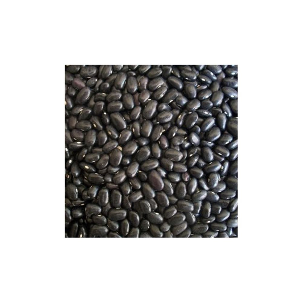 High grade black kidney beans prepared for large volume bulk sale demand