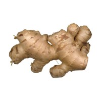 Factory price fresh ginger wholesale premium grade ginger bulk shipment ready