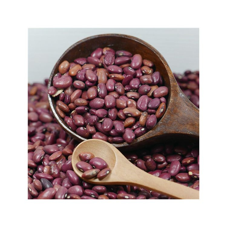 Red Kidney Bean wholesale cheap price bulk supply fast delivery
