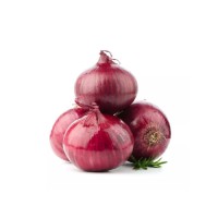 Yellow & red onion high quality best price for your need from