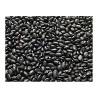 Buy Black Kidney Beans in bulk great