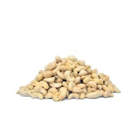 Cashew nuts in bulk quantity ready for shipment to global buyers