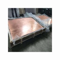 Copper cathode bulk supply wholesale cheap price premium quality plates