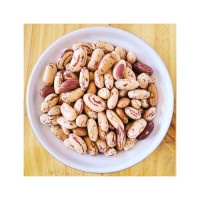 Food industry grade sugar beans available in container loads