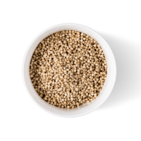 Pure sorghum grains wholesale bulk stock ready for fast shipment