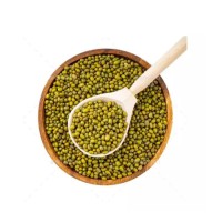 Vigna Mung Beans cheap price bulk supply wholesale fast delivery