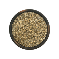 Well processed pearl millet bulk order high quality grains shipment