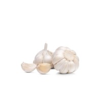 Best Quality Fresh Peeled Garlic For Sale In Cheap Price