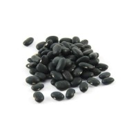 Wholesale ready black kidney beans structured for reliable bulk sale operations