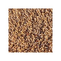 Wholesale sorghum grains bulk supply ready for global export