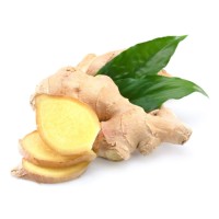 fresh ginger and air dried ginger new crop wholesale exporters with ginger root market price