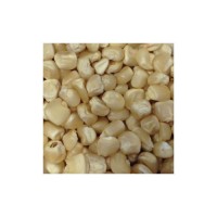White corn ready for export in various packaging options