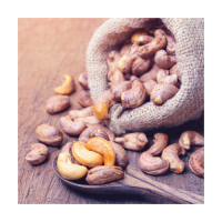 Fresh cashew nuts provided in wholesale packaging for trade supply