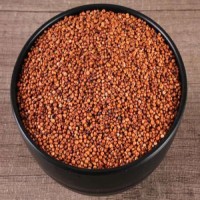 Reliable finger millet wholesale bulk supply premium millet delivery