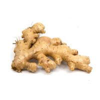Top grade fresh ginger bulk supply premium ginger export quality