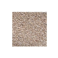 Bulk sorghum grains wholesale available at competitive global rates